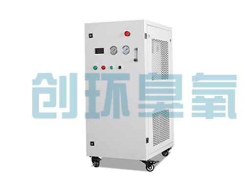 营口石斑鱼养殖水质调控完整指南:臭氧发生器配置与操作步骤