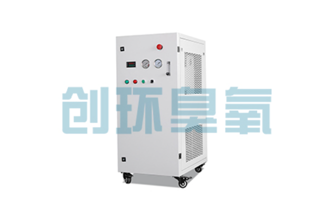 营口比传统换水更高效?臭氧发生器在石斑鱼养殖中的水质净化原理解析